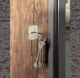 Մետաղյա մուտքի դուռ Havanna երկու փականով