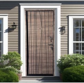 Մետաղյա մուտքի դուռ Dune երկու փականով