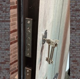 Մետաղյա մուտքի դուռ Alpine երկու փականով