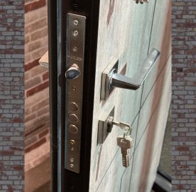 Մետաղյա մուտքի դուռ Alpine երկու փականով