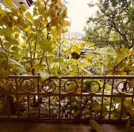 Продается земельный участок под жилую застройку в центре Еревана с расположенными на нем двумя домами.